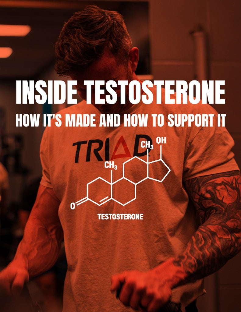 Inside Testosterone